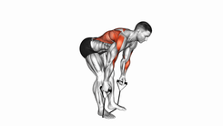 Band bent over row